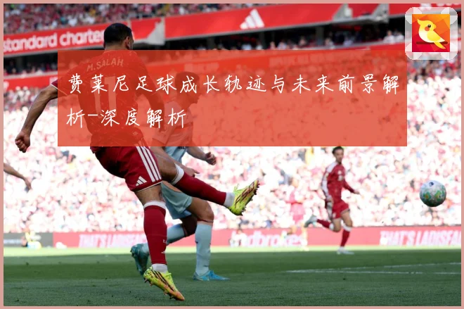 费莱尼足球成长轨迹与未来前景解析-深度解析